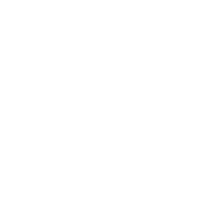custom_button_icon_alt
