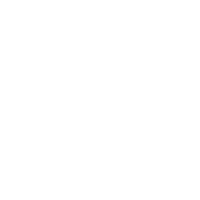 custom_button_icon_alt