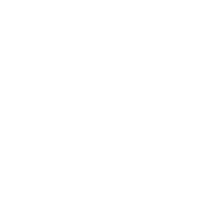 custom_button_icon_alt